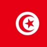 cheap parcel delivery to tunisia